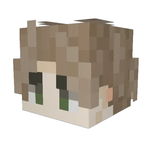 Theskeletonboi5 Minecraft avatar head, 3D render
