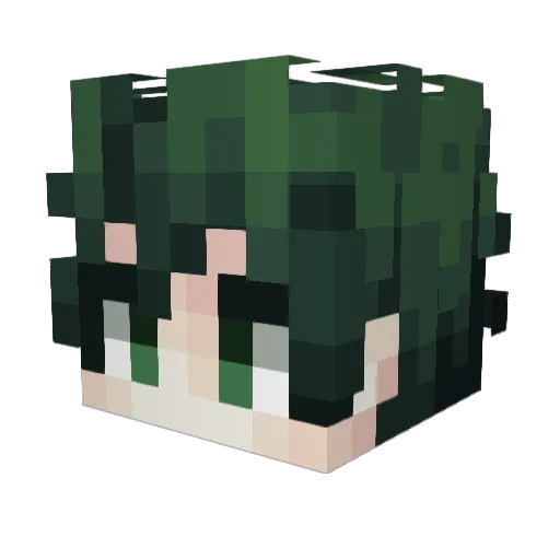 Theswiftfox4 Minecraft avatar head, 3D render