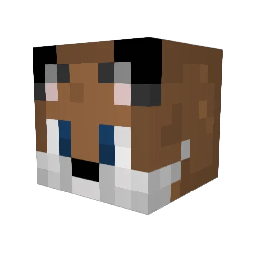 ThetaOmega341 Minecraft avatar head, 3D render