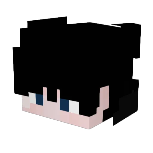 Theusg1531 Minecraft avatar head, 3D render