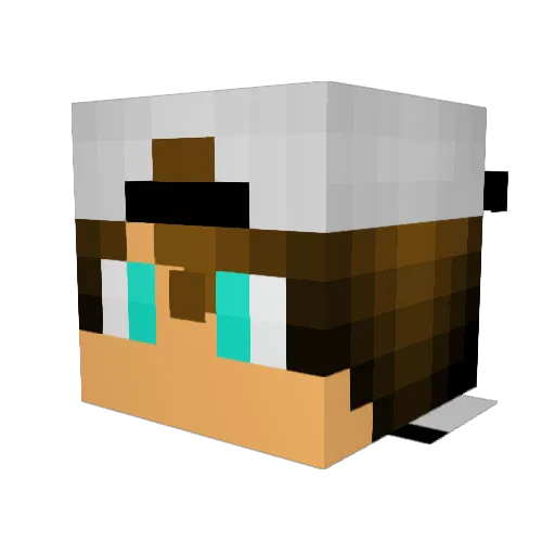 Thevideogamer15 Minecraft avatar head, 3D render