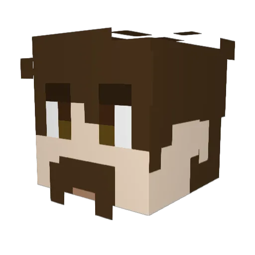 Thevizsla12 Minecraft avatar head, 3D render