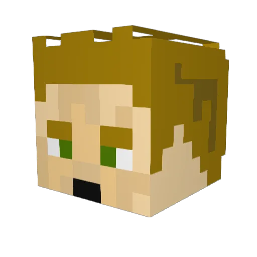 Thewallhoop Minecraft avatar head, 3D render
