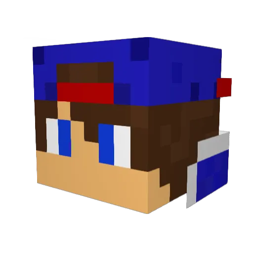 Thewarpuggaming Minecraft avatar head, 3D render