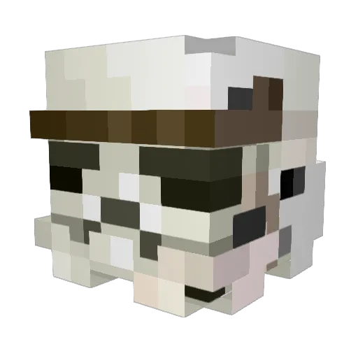 Thewildgod Minecraft avatar head, 3D render