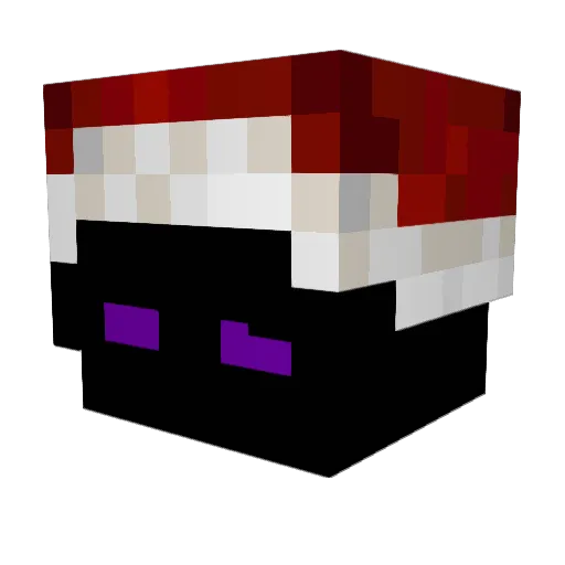 Thewillygamers Minecraft avatar head, 3D render