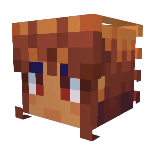 TheyCallMeSnow Minecraft avatar head, 3D render