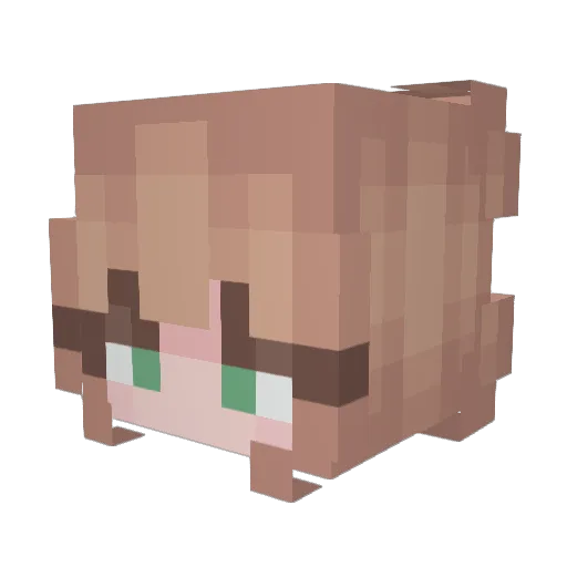TheyHateRose Minecraft avatar head, 3D render