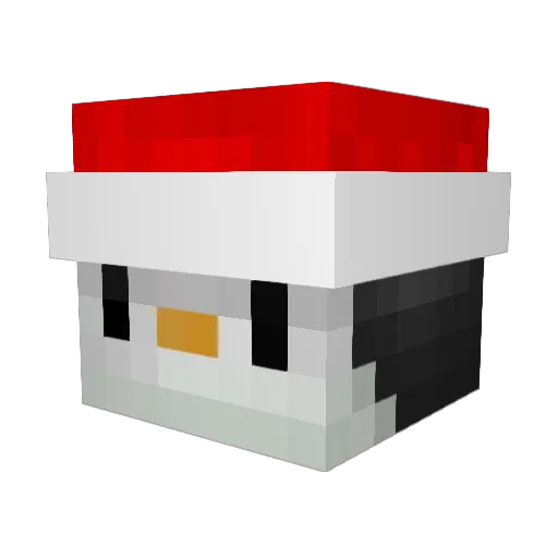 TheyWereWrong Minecraft avatar head, 3D render