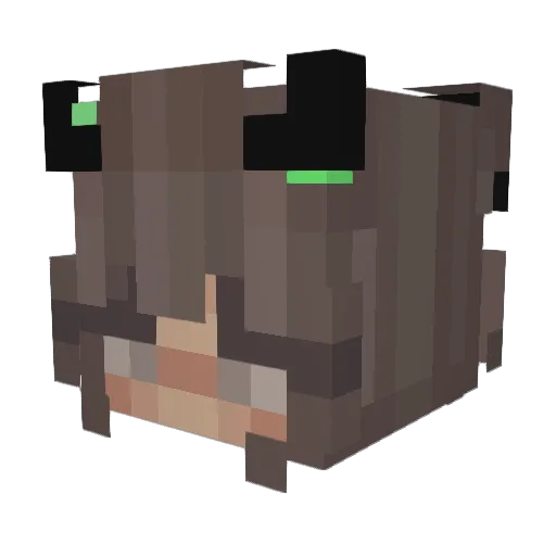 TheycallMeAnna Minecraft avatar head, 3D render