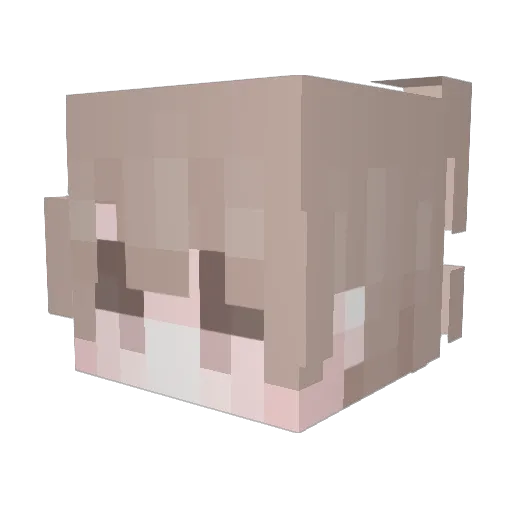 TheycallmeTubby Minecraft avatar head, 3D render
