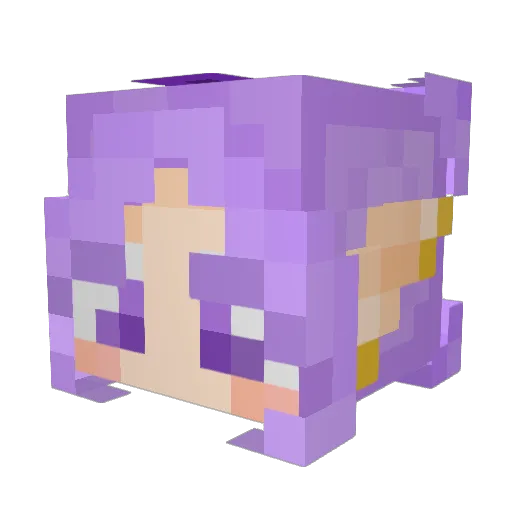 Theyoungwolf28 Minecraft avatar head, 3D render