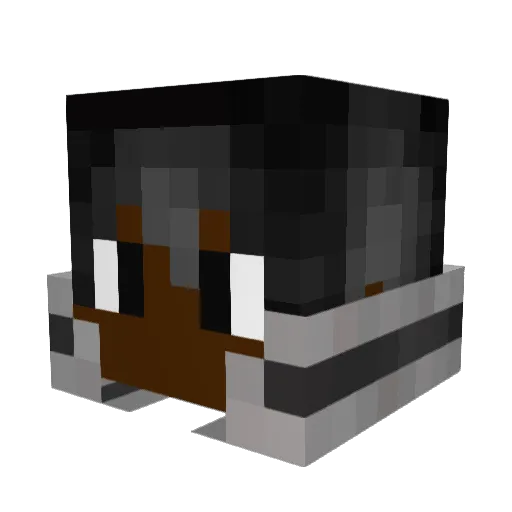 Thez01 Minecraft avatar head, 3D render