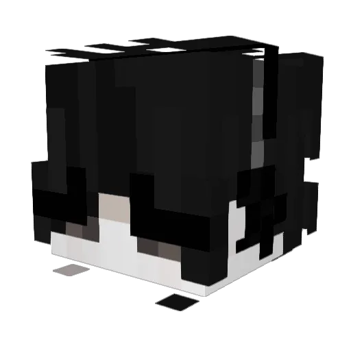 Thhoma Minecraft avatar head, 3D render