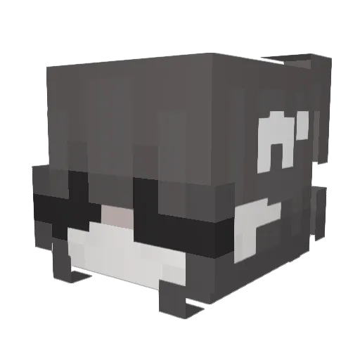 ThiCookie Minecraft avatar head, 3D render