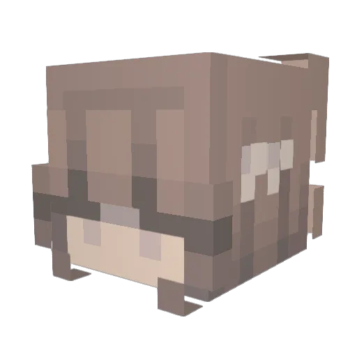ThiToastTea Minecraft avatar head, 3D render