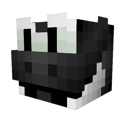 Thiago0411 Minecraft avatar head, 3D render