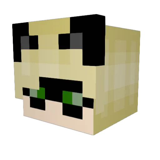 ThiagoSocks Minecraft avatar head, 3D render