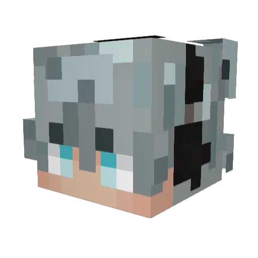 Thiago_S987 Minecraft avatar head, 3D render