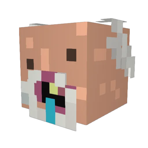 Thiago_Sem Minecraft avatar head, 3D render