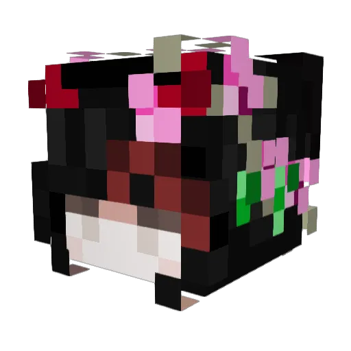 Thiagonnn22 Minecraft avatar head, 3D render