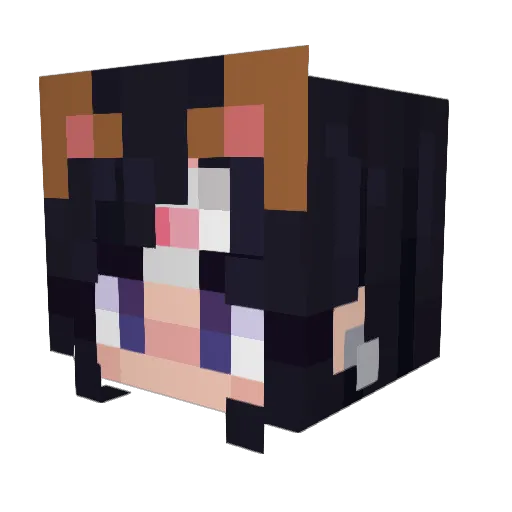 Thibaow Minecraft avatar head, 3D render