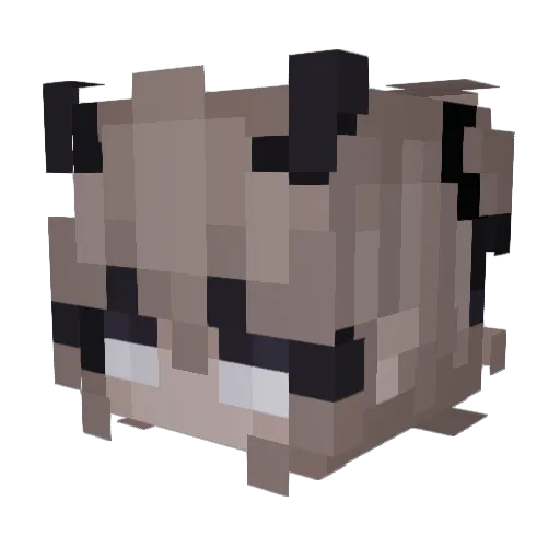 ThiccPankake Minecraft avatar head, 3D render