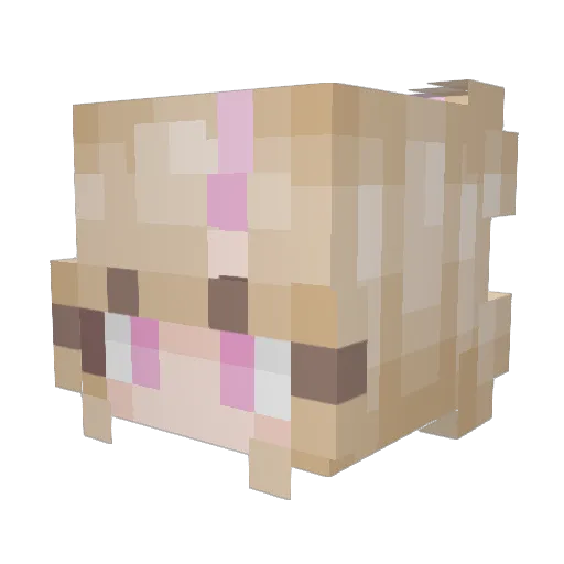 ThiccyBlicky Minecraft avatar head, 3D render