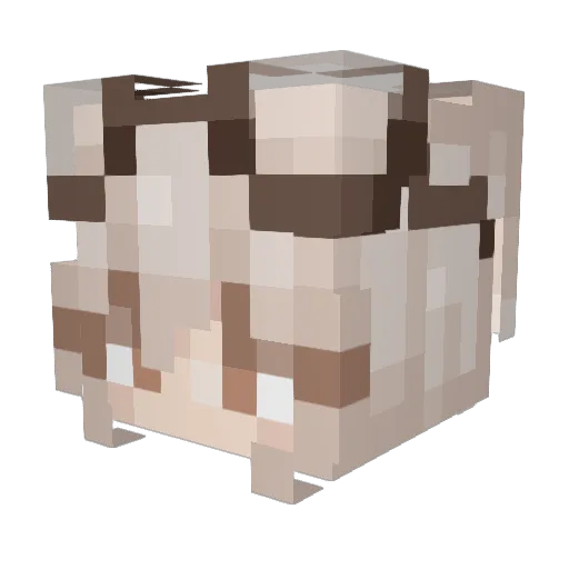 ThickBark Minecraft avatar head, 3D render