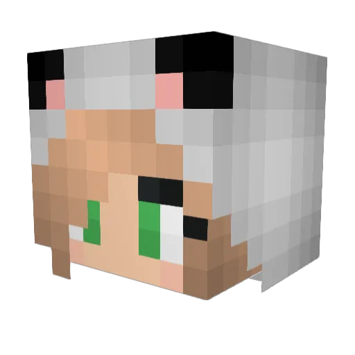 ThickelNickel Minecraft avatar head, 3D render