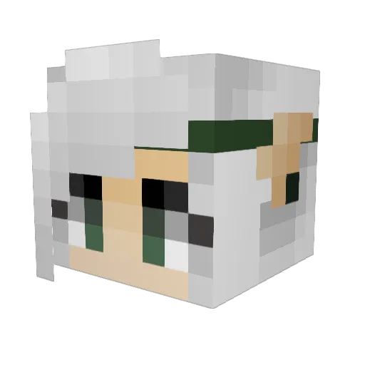 ThicketofWolves Minecraft avatar head, 3D render