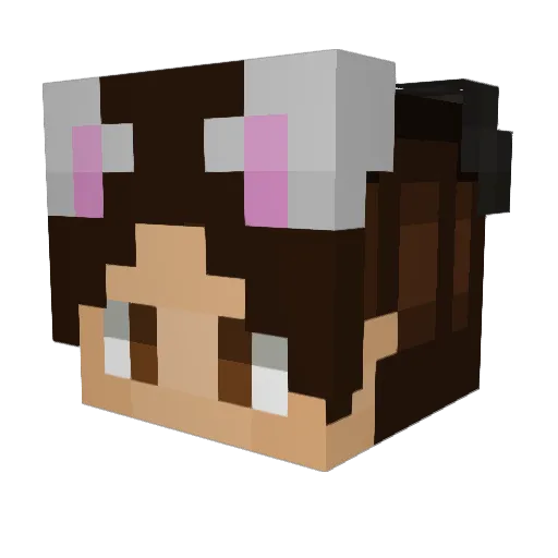 Thicky45 Minecraft avatar head, 3D render
