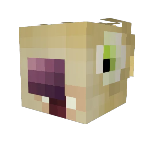 ThidTheThloth Minecraft avatar head, 3D render