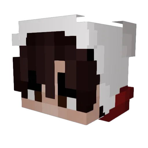 Thiefz Minecraft avatar head, 3D render