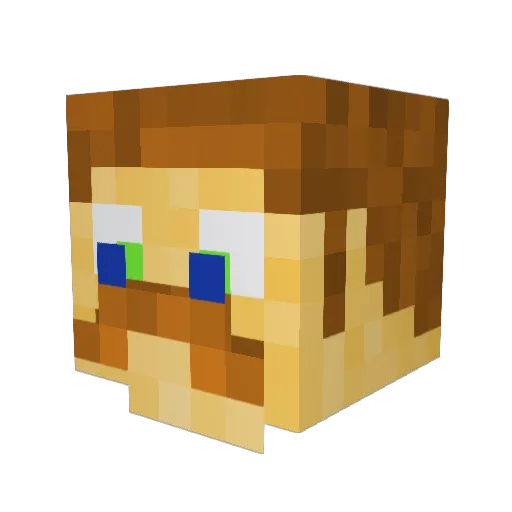 Thijn101 Minecraft avatar head, 3D render