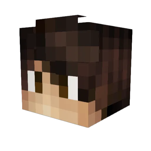 Thijs08 Minecraft avatar head, 3D render