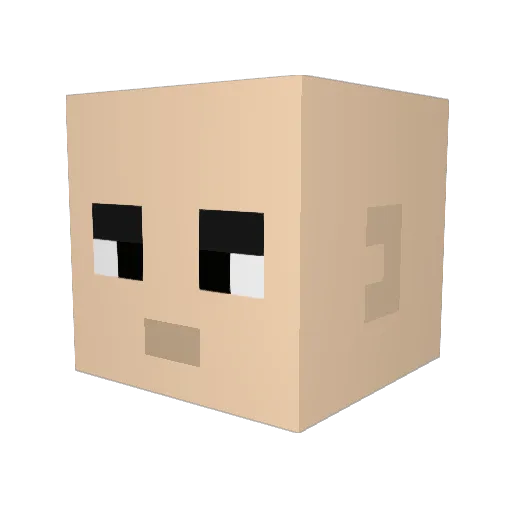 Thijs1337 Minecraft avatar head, 3D render