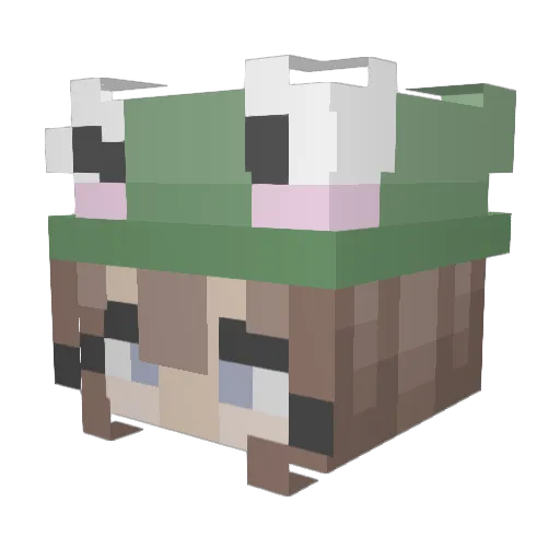 Thijsmuan Minecraft avatar head, 3D render