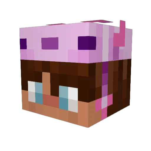 Thijzzz Minecraft avatar head, 3D render