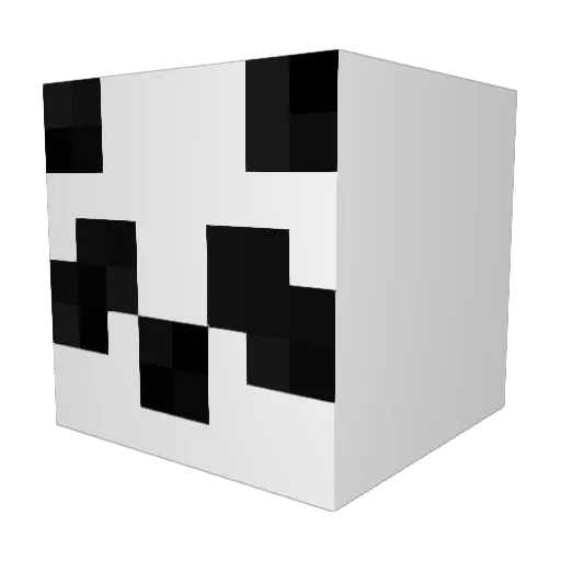 Thildehh Minecraft avatar head, 3D render