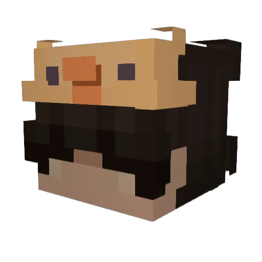 Thimeo59100 Minecraft avatar head, 3D render