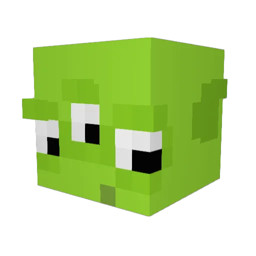 Thimothy2009 Minecraft avatar head, 3D render