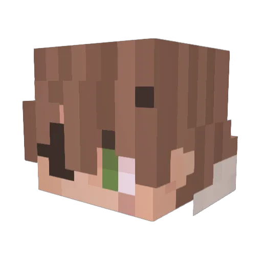 ThingThingT Minecraft avatar head, 3D render