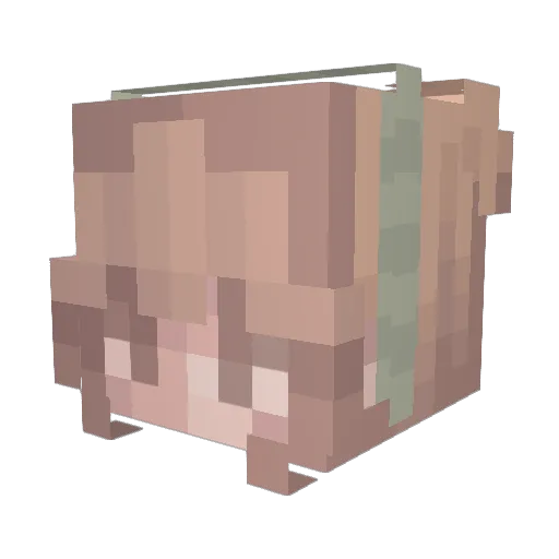 Thinggamajjjig Minecraft avatar head, 3D render