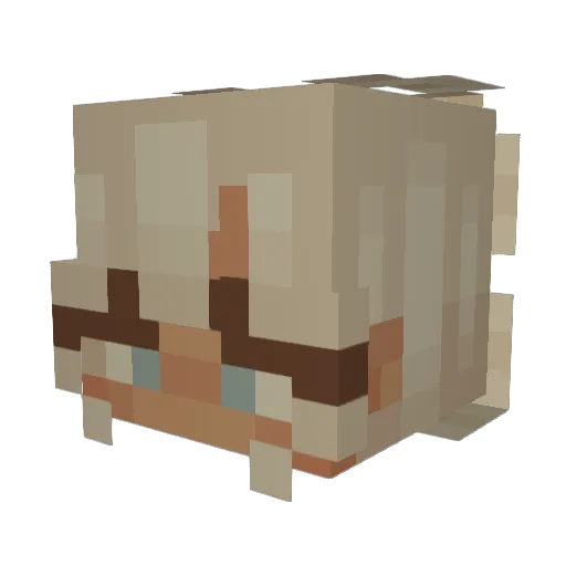ThinkDonut Minecraft avatar head, 3D render
