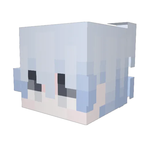 ThinkDr Minecraft avatar head, 3D render