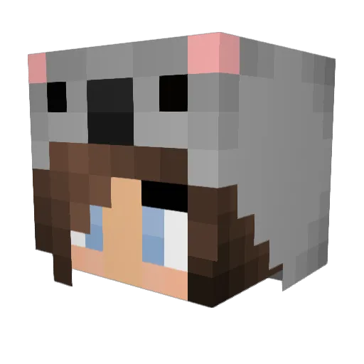 ThinkPositive7 Minecraft avatar head, 3D render