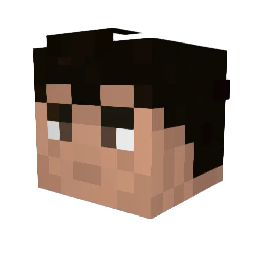 ThinkTankMC Minecraft avatar head, 3D render