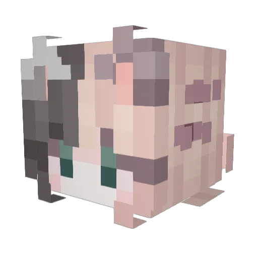 ThinkThisTime Minecraft avatar head, 3D render