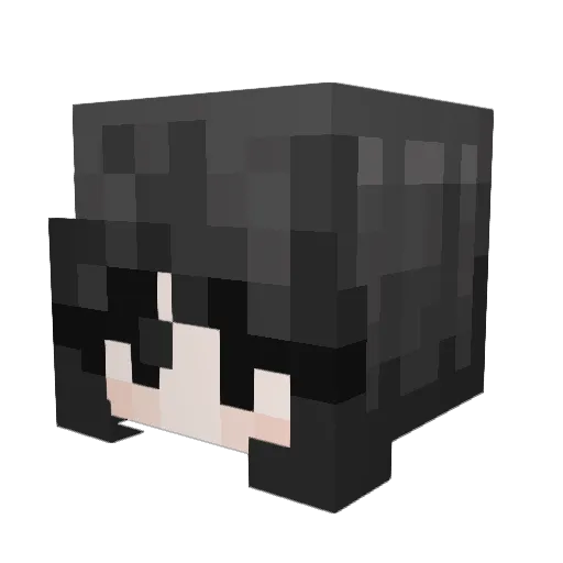 Thinkaboutluci Minecraft avatar head, 3D render